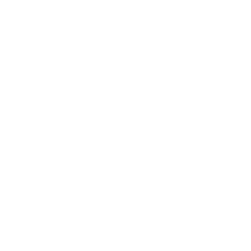 Extreme Sports Logo